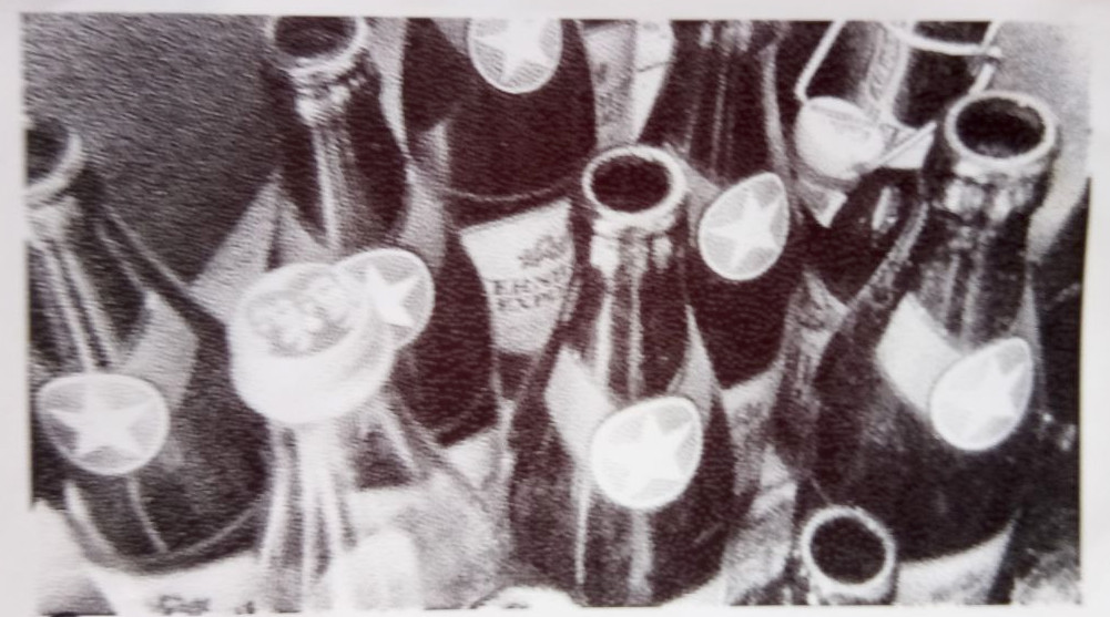 sterni bier